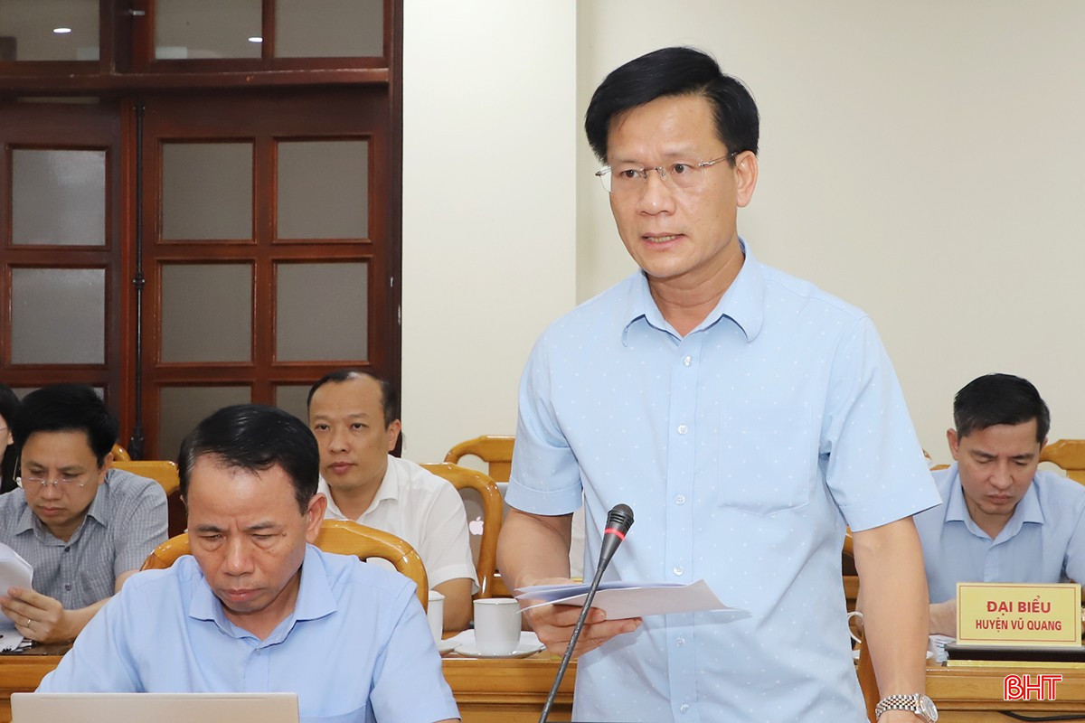 Giám đốc Sở Tài chính Trịnh Văn Ngọc báo cáo tình hình kinh tế - xã hội 6 tháng đầu năm. bqbht_br_4.jpg