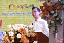 Đảm bảo quỹ tín dụng nhân dân phát triển hiệu quả, bền vững