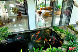 Khi cá Koi “bơi” vào nhà phố