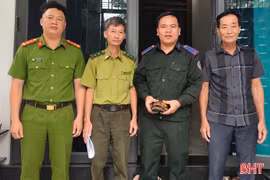 Người dân tự nguyện giao nộp cá thể rùa vàng quý hiếm