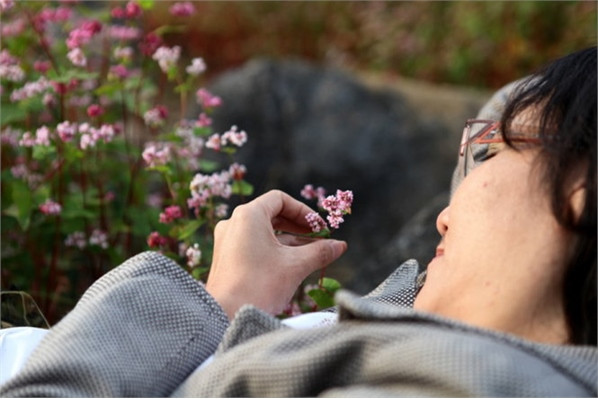 Khám phá lễ hội hoa tam giác mạch đầu tiên ở Hà Giang ảnh 10