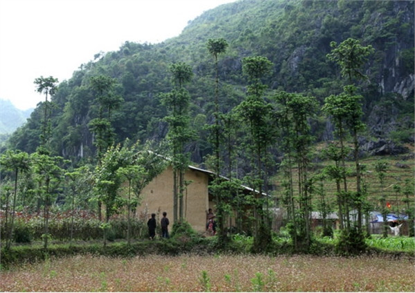 Khám phá lễ hội hoa tam giác mạch đầu tiên ở Hà Giang ảnh 7