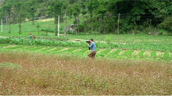 Khám phá lễ hội hoa tam giác mạch đầu tiên ở Hà Giang ảnh 11