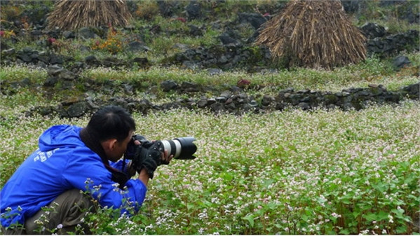 Khám phá lễ hội hoa tam giác mạch đầu tiên ở Hà Giang ảnh 8