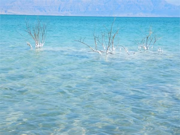 Màu nước tuyệt đẹp của Biển Chết. Ảnh: Insite-israel-tour.com.