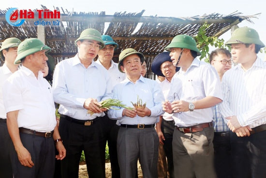 Bức tranh toàn diện về kinh tế, xã hội - điểm tựa của vị thế và niềm tin ảnh 4