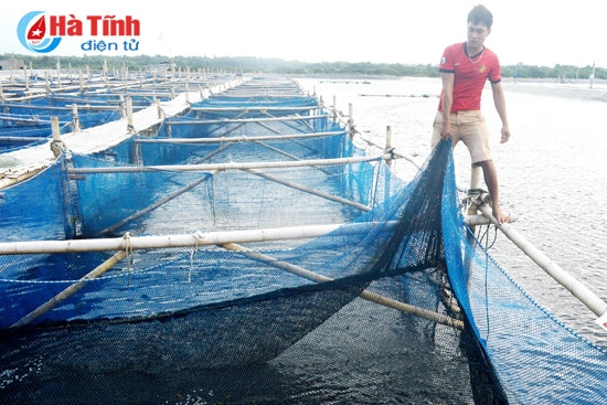 Con người mới, giá trị mới ảnh 2