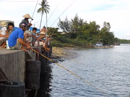 Mùa cá ngạnh ảnh 1