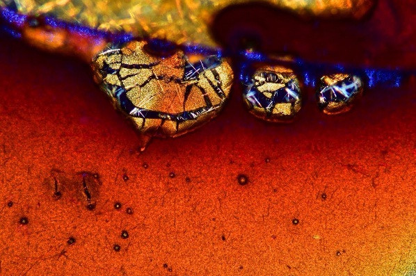 kham pha the gioi duoi ong kinh hien vi