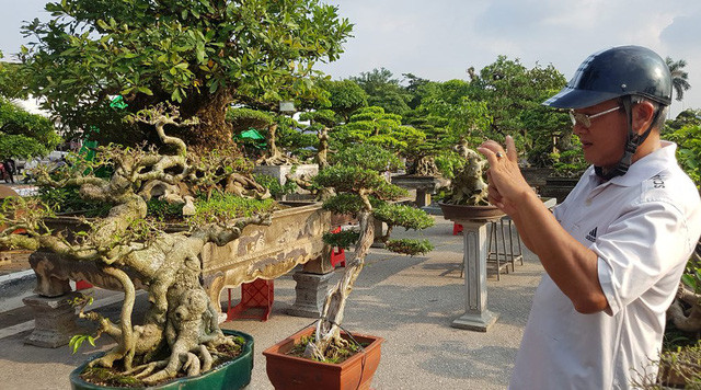 quai thu ra thu do dan choi cay mien bac phat sot