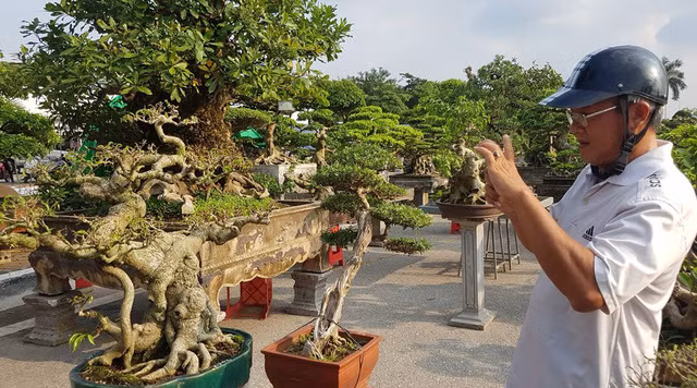 quai thu ra thu do dan choi cay mien bac phat sot