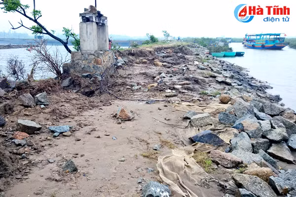 bien xam thuc dan thach bang mong som co de chan song