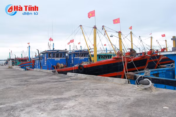 can ran tay voi cac chu tau ca chay y no phi