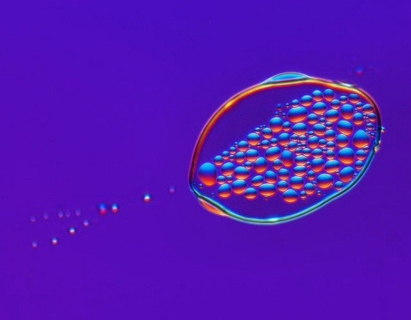 kham pha the gioi duoi ong kinh hien vi