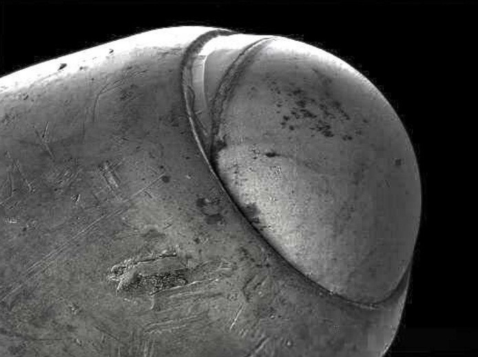 kham pha the gioi duoi ong kinh hien vi