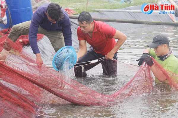 mua lon keo dai nguoi nuoi tom that bat