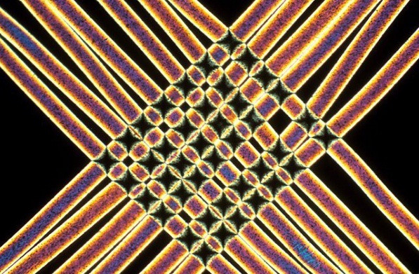 kham pha the gioi duoi ong kinh hien vi