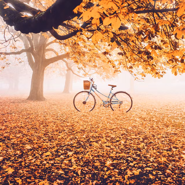 canh thu dep den nao long o khap noi tren the gioi