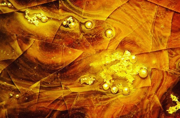 kham pha the gioi duoi ong kinh hien vi