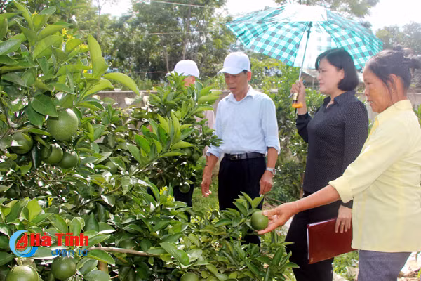 hoat dong lien hiep hop tac xa tranh vet xe do