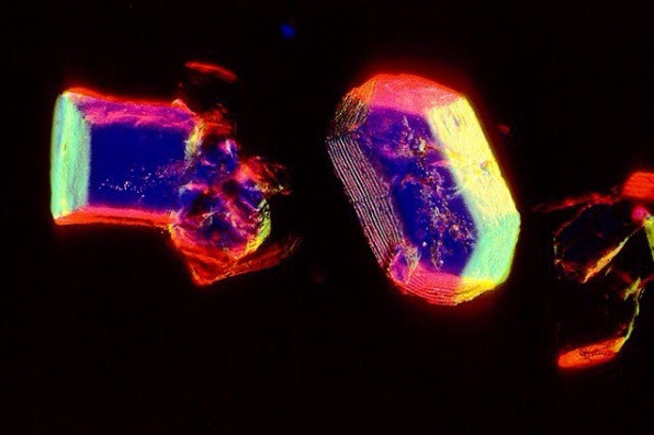 kham pha the gioi duoi ong kinh hien vi