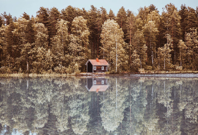 canh thu dep den nao long o khap noi tren the gioi