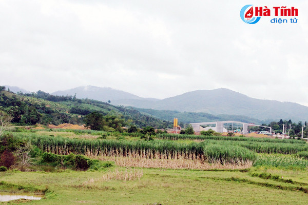 diu hiu cum cong nghiep vu quang