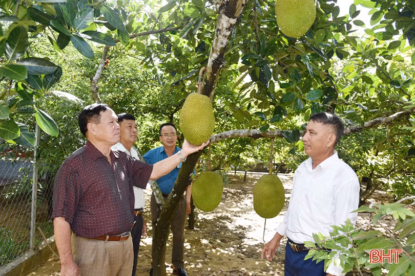 Cựu chiến binh Lộc Hà phát huy tinh thần xung kích trên trận tuyến mới