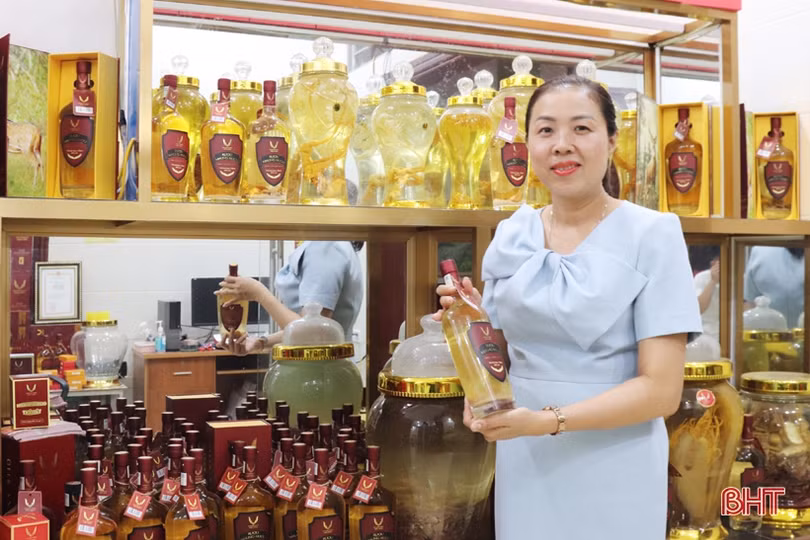 Nỗ lực đưa đặc sản nhung hươu Hà Tĩnh vươn xa