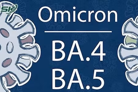 Ca COVID-19 tăng, biến thể phụ nào của Omicron đang chiếm ưu thế trong cộng đồng ở nước ta?