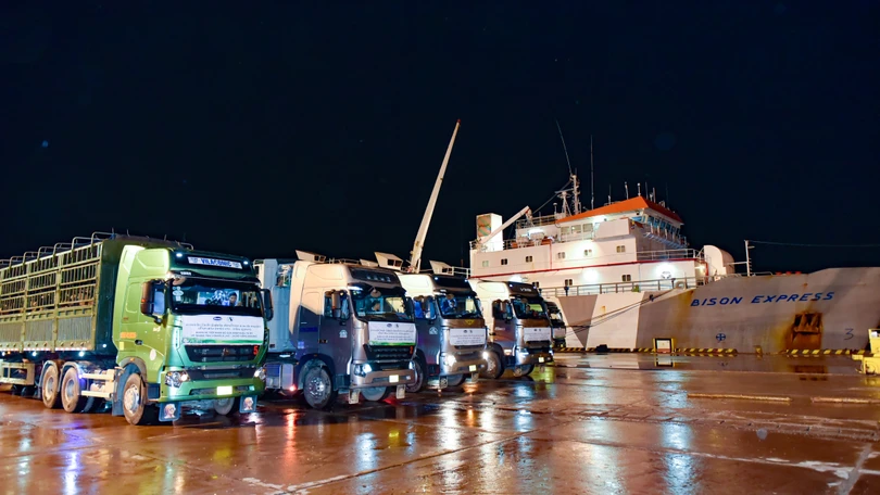 Vinamilk nhập đàn bò sữa 1.000 con từ Mỹ về trang trại bò sữa Lao - Jagro ở Lào