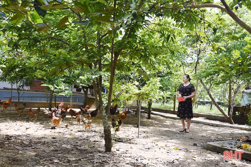 Cựu chiến binh Lộc Hà phát huy tinh thần xung kích trên trận tuyến mới