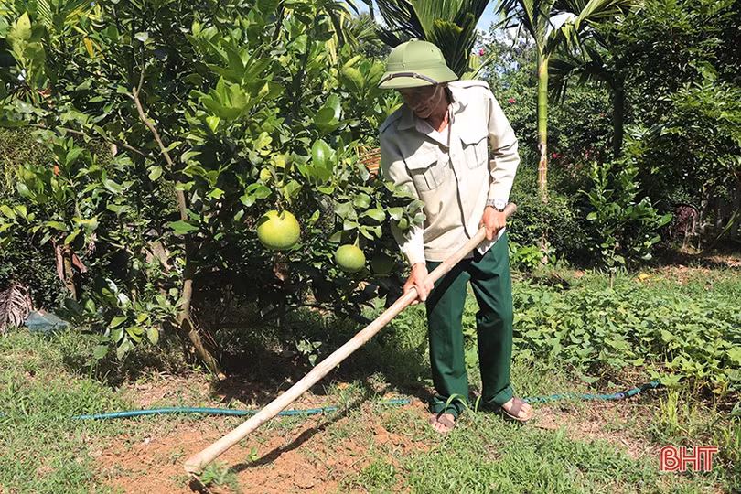 Cựu chiến binh ở miền núi Vũ Quang tích cực phát triển kinh tế, vươn lên làm giàu
