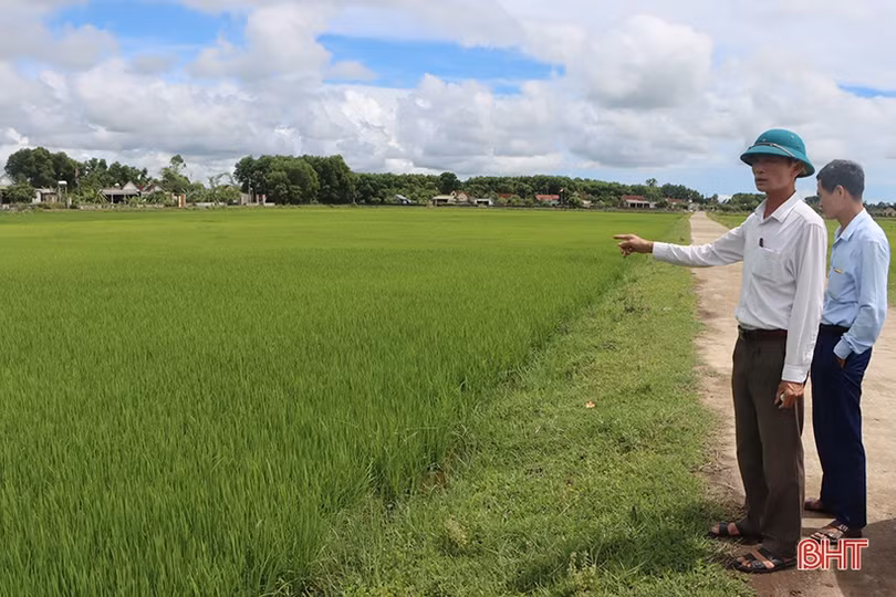 Cẩm Xuyên rà soát vướng mắc, đẩy nhanh GPMB dự án cao tốc Bắc - Nam