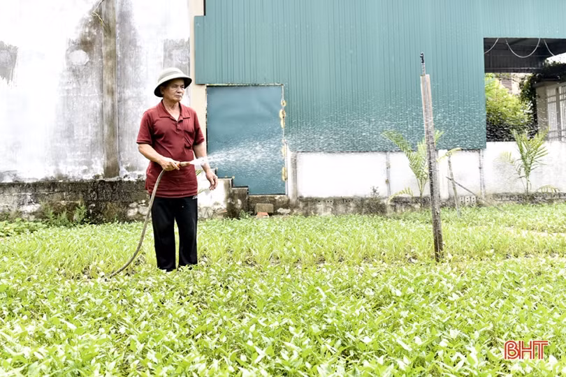 Người có công ở Đức Thọ vui trong những ngôi nhà chính sách