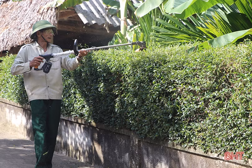 Cựu chiến binh ở miền núi Vũ Quang tích cực phát triển kinh tế, vươn lên làm giàu