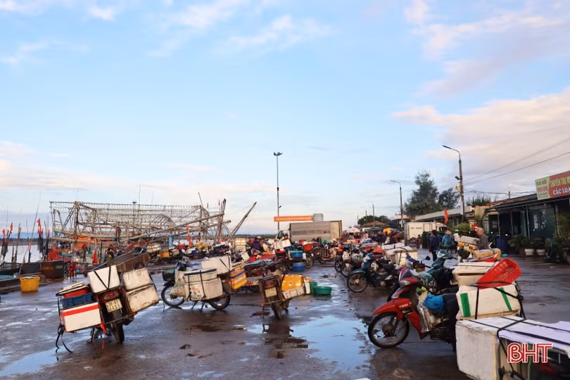 Giá xăng dầu giảm, ngư dân Hà Tĩnh phấn khởi ra khơi