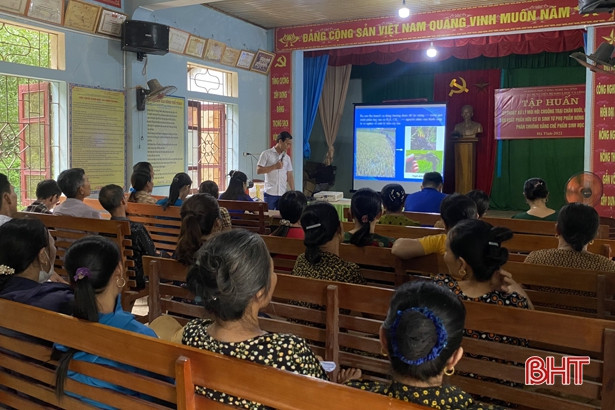 Tuổi trẻ Hà Tĩnh ra quân ngày cao điểm Tình nguyện chung tay xây dựng nông thôn mới”
