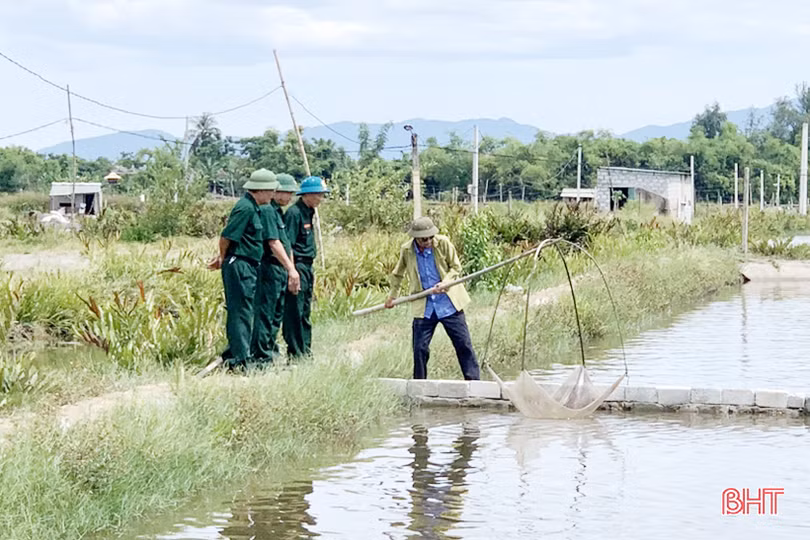 Cựu chiến binh Lộc Hà phát huy tinh thần xung kích trên trận tuyến mới