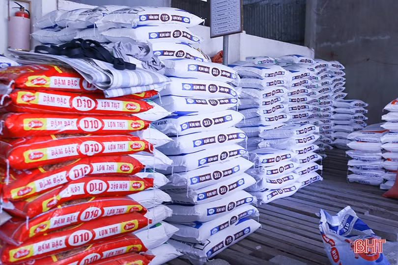 7 tháng, giá thức ăn chăn nuôi tăng 6 lần và tiếng nói người trong cuộc ở Hà Tĩnh