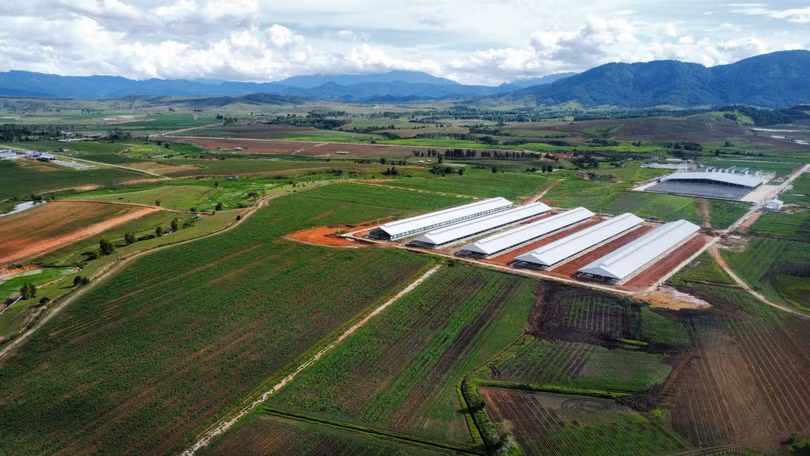 Vinamilk nhập đàn bò sữa 1.000 con từ Mỹ về trang trại bò sữa Lao - Jagro ở Lào