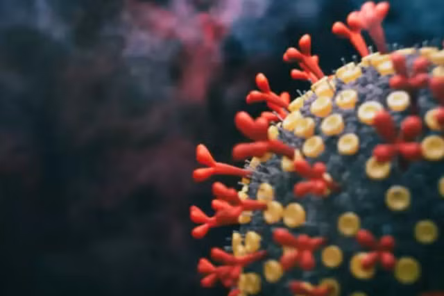 Triệu chứng lâm sàng khi mắc Omicron BA.2.75 siêu lây nhiễm?