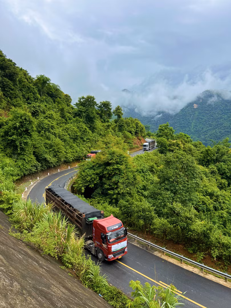 Vinamilk nhập đàn bò sữa 1.000 con từ Mỹ về trang trại bò sữa Lao - Jagro ở Lào