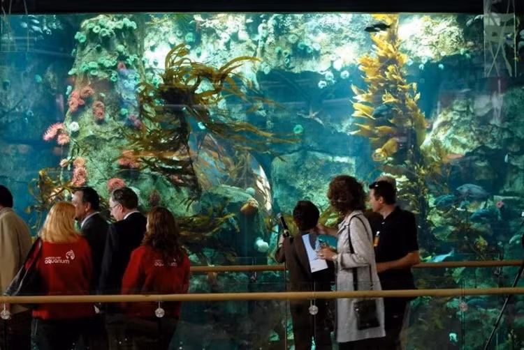 10 sân bay kỳ lạ nhất thế giới: Nơi khiến người tái mét mặt, nơi lại dễ dàng 10 sân bay kỳ lạ nhất thế giới