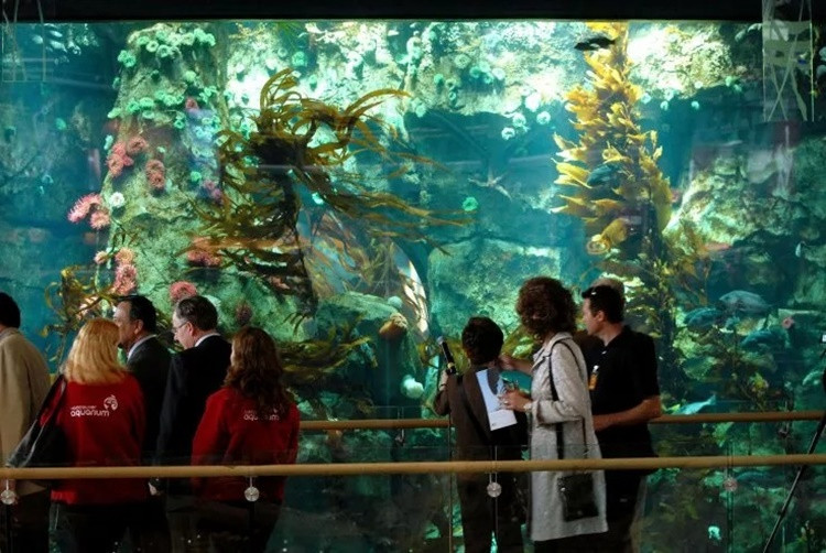 10 sân bay kỳ lạ nhất thế giới: Nơi khiến người tái mét mặt, nơi lại dễ dàng 10 sân bay kỳ lạ nhất thế giới