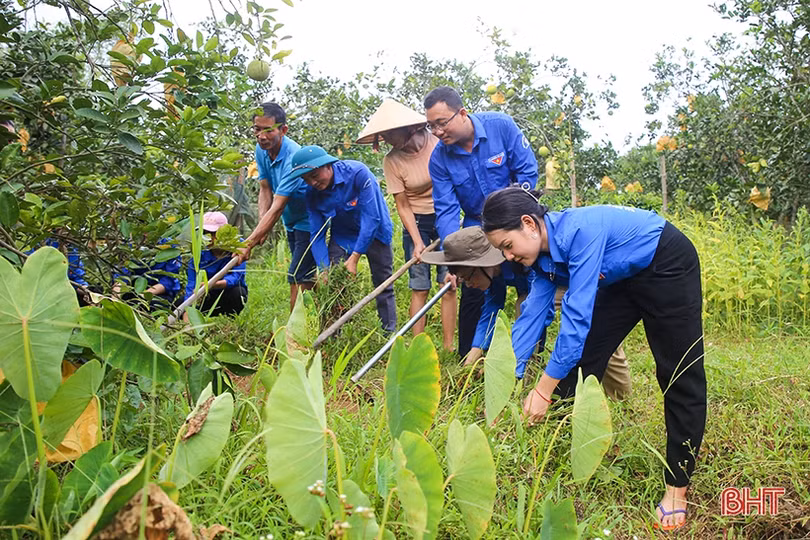 Theo chân đội tình nguyện trong chiến dịch “Mùa hè xanh”