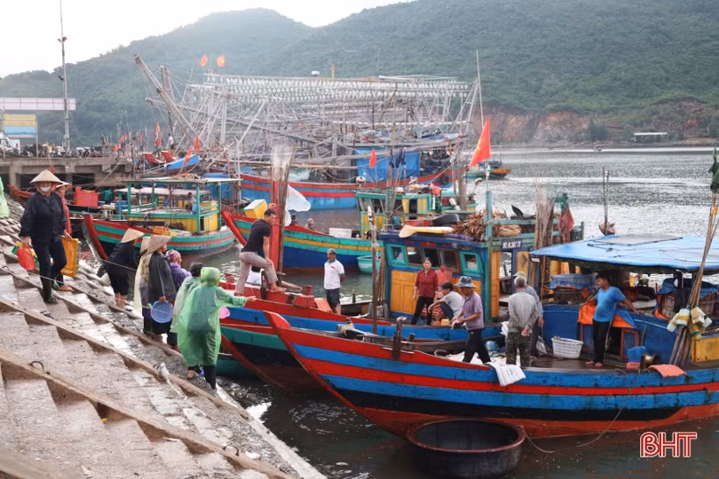 Giá xăng dầu giảm, ngư dân Hà Tĩnh phấn khởi ra khơi