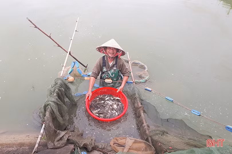 Sản lượng thủy sản nước ngọt ở Hà Tĩnh đạt trên 6.800 tấn/năm