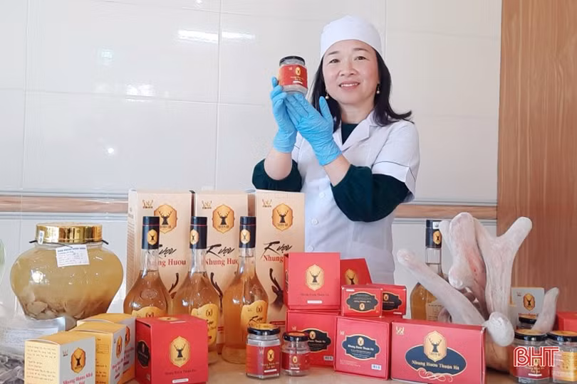 Bảo hộ sở hữu trí tuệ để sản phẩm OCOP Hà Tĩnh vươn xa