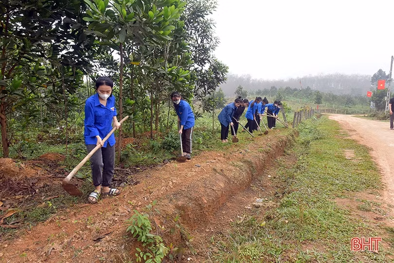 Thắm sắc xanh tuổi trẻ trên những công trình NTM ở Hương Khê